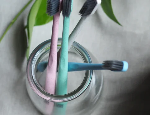 Brush It On Wheat Straw Toothbrush